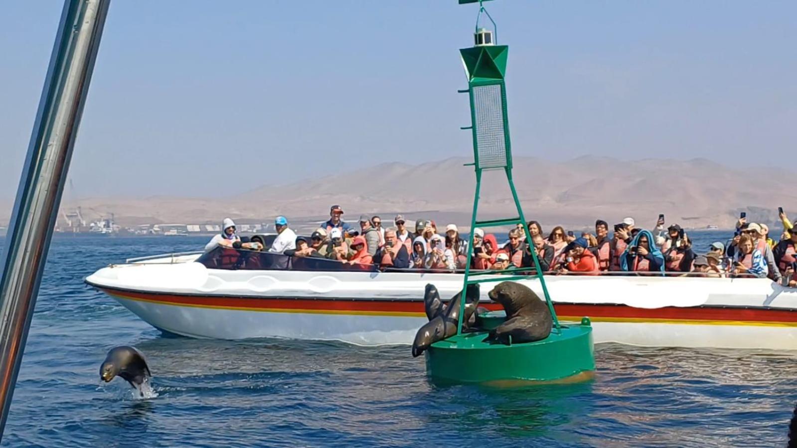 Arena Hostal Paracas Exteriér fotografie